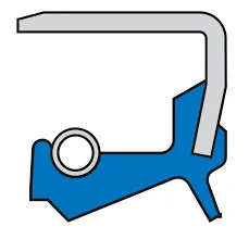SIMRIT OIL SEAL TYPE B1…/SL TO DIN 3761 B/BS - view 1